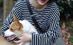 兽性大发之为虎作娼